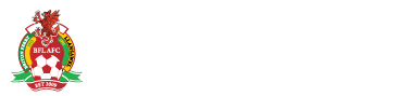 Briton Ferry Llansawel AFC logo